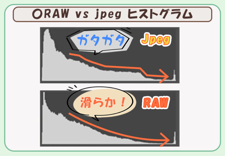 写真保存形式_RAW vs Jpeg 比較