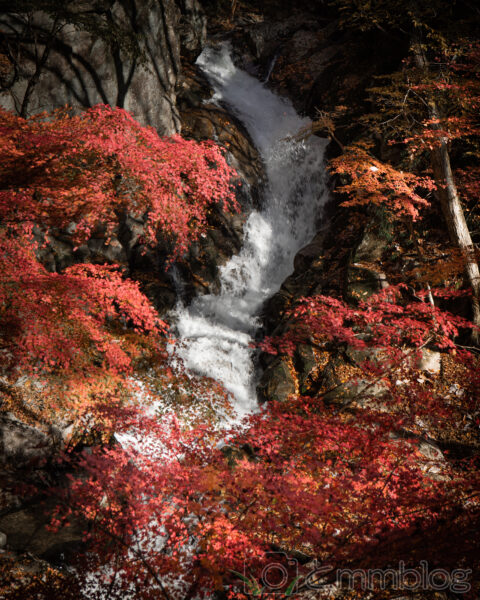 【上級】川・滝を魅力的に撮影するコツ。構図・光が大事【カメラ】