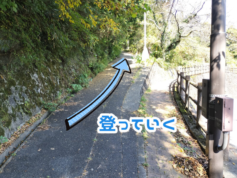 【2022年】飛龍の滝in箱根！駐車場・アクセス【撮影スポット】