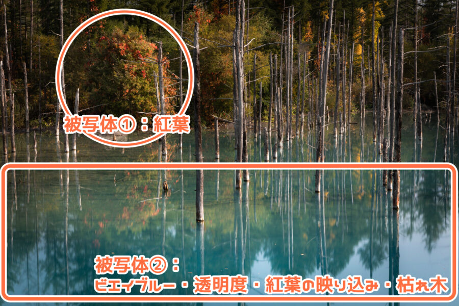【北海道】「青い池/美瑛」撮影のコツ。青色を美しく【駐車場あり】