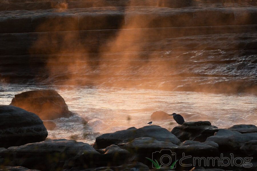 朝焼けの川で向かい合っている鳥の写真。